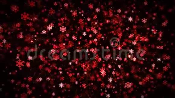 无缝环圣诞节雪花背景视频的预览图