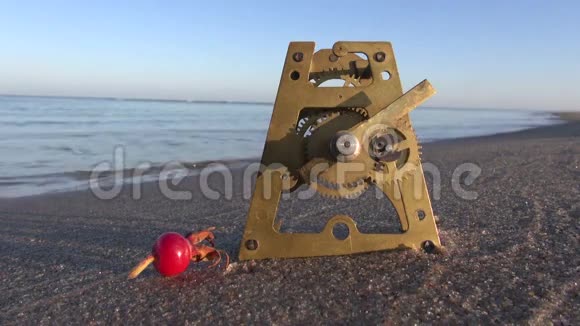 古色古香的黄铜钟齿轮和海沙上的玫瑰臀部视频的预览图