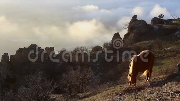 在多云的天空背景下在山上放牧的马视频的预览图