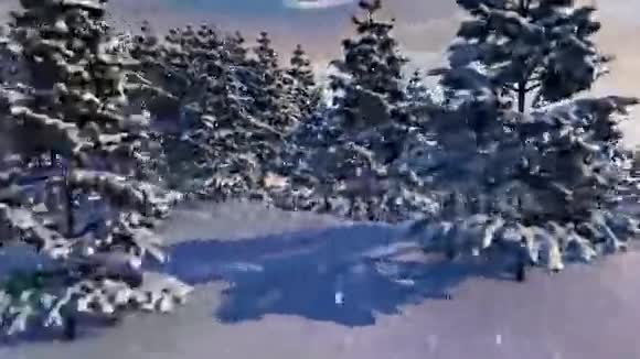 白雪森林环路视频的预览图