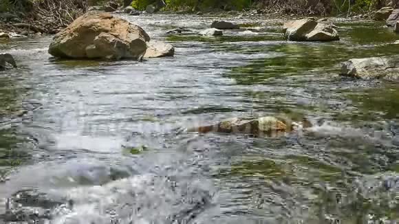 山河自然景观溪流小溪视频的预览图