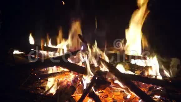 篝火夜树视频的预览图