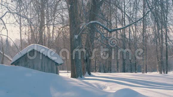 冬林中的霜冻下雪了小木屋视频的预览图