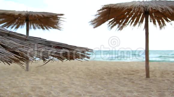 在风的日子里带着遮阳伞的沙滩视频的预览图