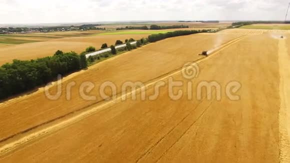 鸟瞰结合收割机收集小麦在日落视频的预览图