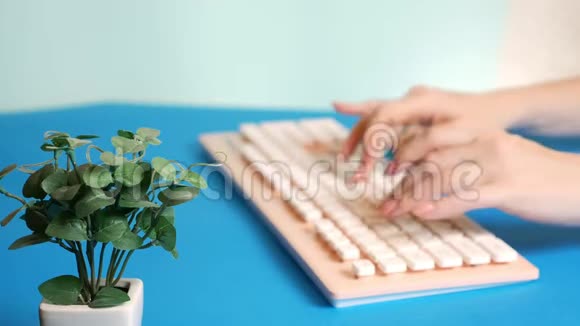 特写镜头时尚的问候视频卡雌性的手在粉红色的键盘上打字旁边是一朵花在蓝色上视频的预览图