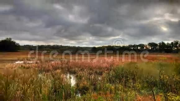 4K超高清晰度运动控制的沼泽在秋天一个时间推移视频的预览图
