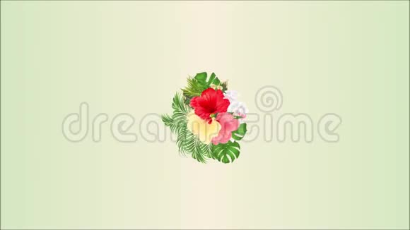 视频无缝环动画插图花束与热带花卉排列红色粉红色和黄色的花视频的预览图