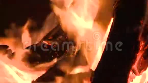 燃烧营火的缓慢运动视频的预览图