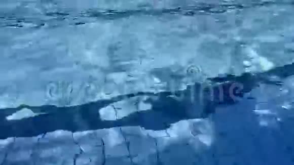 折射泳池水中的阳光视频的预览图