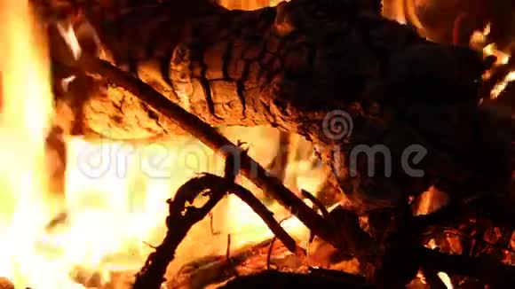 篝火熊熊燃烧的火焰视频的预览图