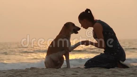 女孩和她的狗握手视频的预览图