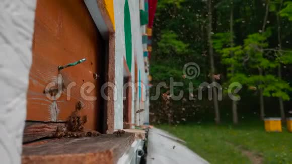 一辆蜜蜂蜂箱卡车在一片新鲜的绿色草地上的细节视频的预览图