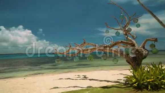 菲律宾白沙滩上用玻璃灯泡装饰的干树视频的预览图
