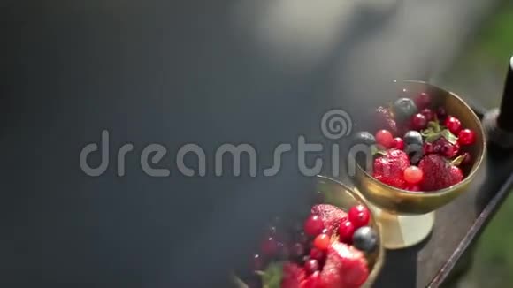 野生浆果隐藏慢动作介绍在碟俄罗斯风格视频的预览图