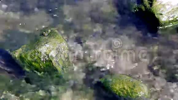 水流经藻类覆盖的岩石的视频视频的预览图