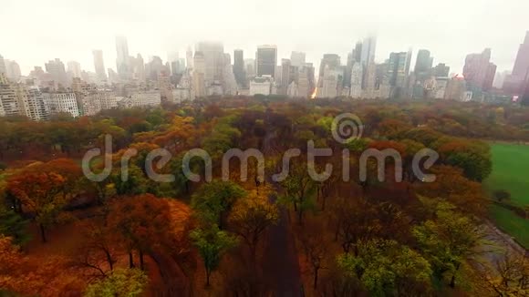 纽约市中央公园的鸟瞰图视频的预览图