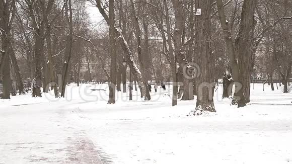 城市公园冬季景观视频的预览图