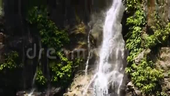 关闭美丽的瀑布与热带藤蔓倾斜向上视频的预览图