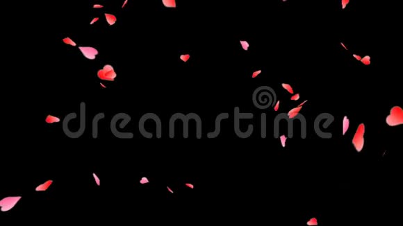 红色迷你心脏和粉红色迷你心脏动画在黑色背景视频的预览图