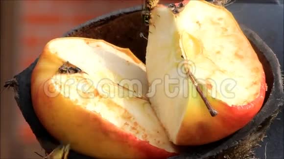 苹果水果上的黄蜂视频的预览图