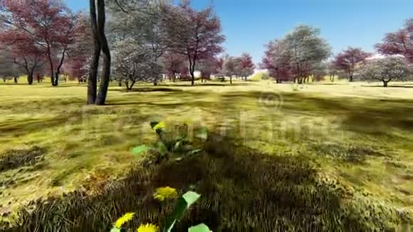 春季果园中的多材生枝三维绘制视频的预览图