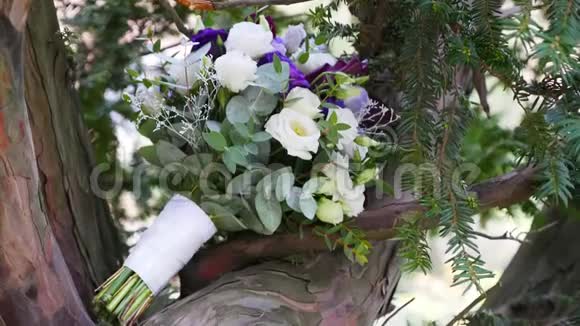 树上的婚礼花束视频的预览图