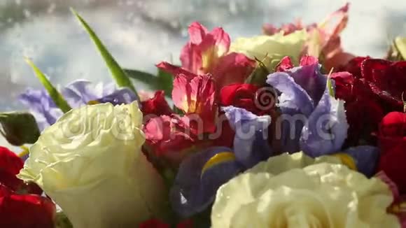 水滴落在美丽的玫瑰花束上虹膜和阿尔斯特美里亚视频的预览图
