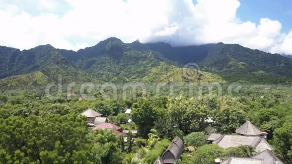 从高空透过山上热带树木的叶子俯瞰印度尼西亚巴厘岛视频的预览图
