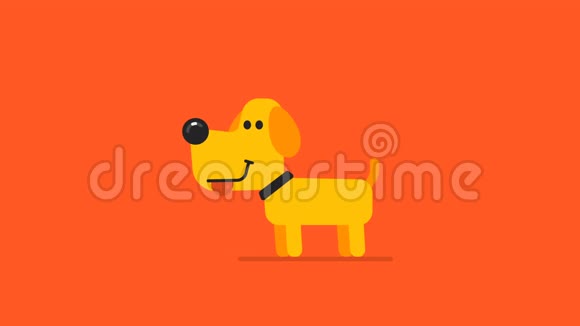 黄色狗和无人机的概念视频的预览图