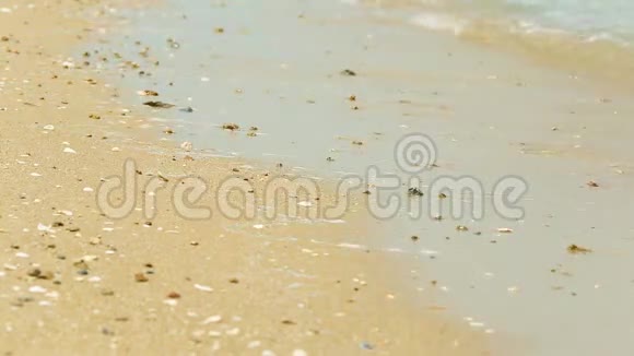 沙滩海滨海浪背景高清视频的预览图