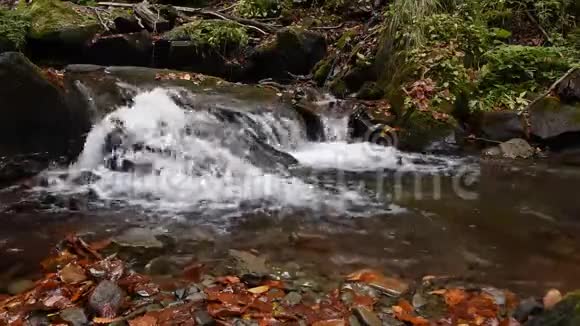 秋天森林中瀑布的特写视频的预览图