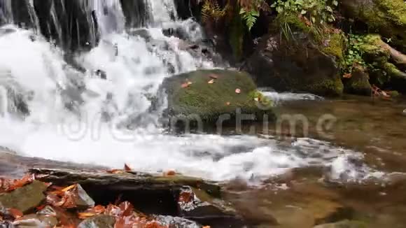 秋天森林中瀑布的特写视频的预览图
