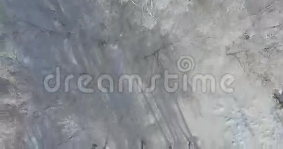 4空中冬天森林里的早晨冰封的桦树冬天的田野和蓝天上有霜垂直俯视视频的预览图