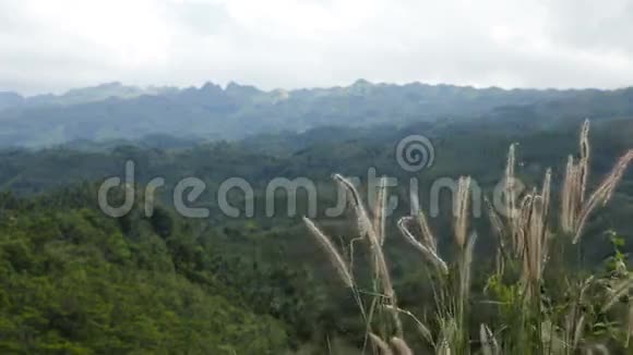 菲律宾丛林山脉全景视频的预览图