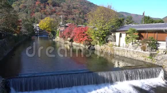 美丽的秋色靠近TogetuKyo桥的河流视频的预览图
