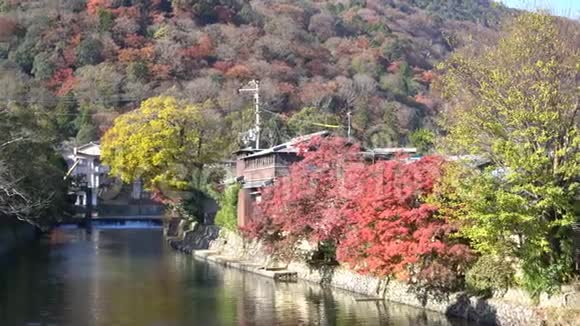 美丽的秋色靠近TogetuKyo桥的河流视频的预览图