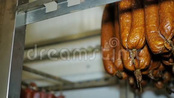 现成的香肠挂在储藏室的冰柜里等着植物分发香肠香肠肉牛肉视频的预览图