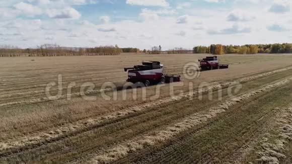 联合收割机在农田上切熟小麦视频的预览图