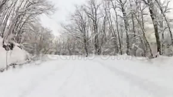 森林之路布满了雪加油视频的预览图