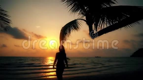 剪影无忧无虑的女孩皮肤晒黑在热带海滩享受暑假背景是美丽的日落视频的预览图