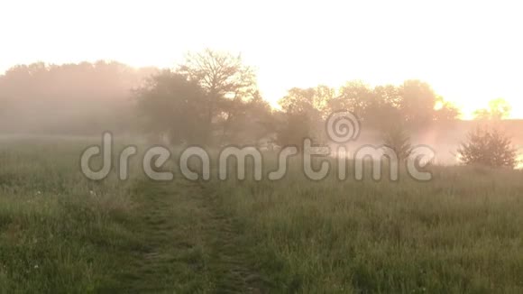 薄雾般的日出有绿色的草地湖泊和树木视频的预览图