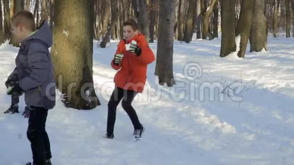 儿童在冬季公园玩耍动作缓慢视频的预览图