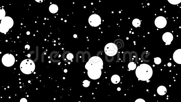 黑白浮动点动画视频的预览图