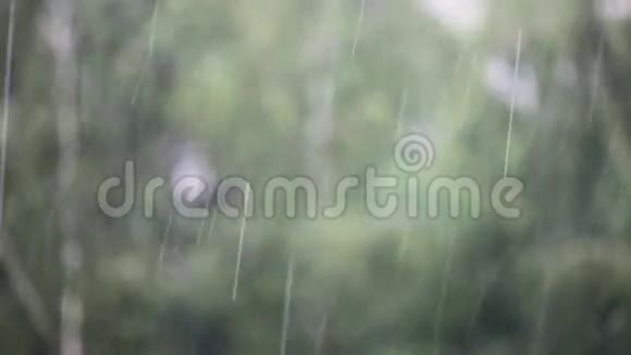 背景雨滴特写视频的预览图