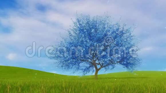 超真蓝色樱花树花3D动画视频的预览图
