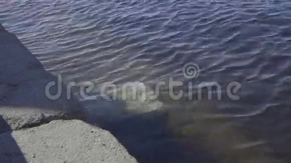 近水的石岸边视频的预览图