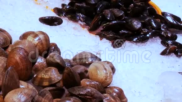 在西班牙巴塞罗那的拉波奎利亚冰场上海鲜市场正在紧俏海鲜螃蟹龙虾鱿鱼虾小龙虾牡蛎视频的预览图