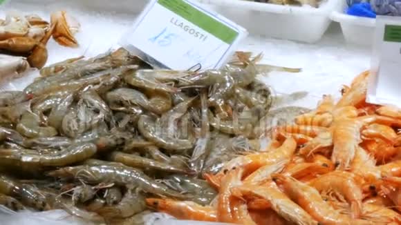 在西班牙巴塞罗那的拉波奎利亚冰场上海鲜市场正在紧俏海鲜螃蟹龙虾鱿鱼虾小龙虾牡蛎视频的预览图
