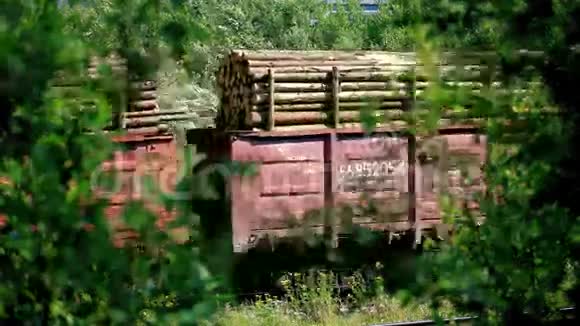 带木材的货运铁路货车视频的预览图